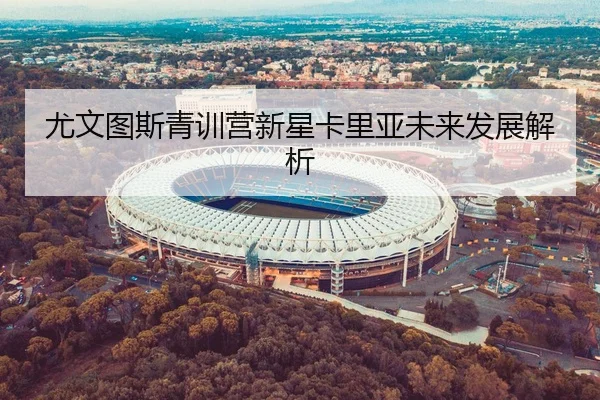 尤文图斯青训营新星卡里亚未来发展解析